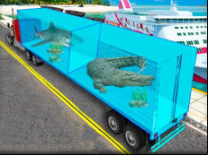 Transport Sea Animal